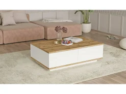 Discount Dmora Mesa de caféAlotto Dnastasi, Mesa de café, Porta-revistas para sofá, Prateleira para sala de estar, 90x60h29 cm, Carvalho e Branco Castanho