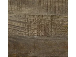 Clearance Mesa de centro | Mesa de apoio claro 80x50x40 cm madeira mangueira maciça Cinzento