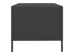 Mesa De Centro| Mesa de centro | Mesa de apoio 101.5x50x43.5 cm aço laminado a frio Preto