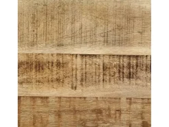 Mesa De Centro| Mesa de centro | Mesa de apoio | Mesa de café 110x55x40 cm madeira de mangueira áspera maciça Castanho