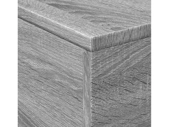Mesa De Centro| Mesa de centro | Mesa de apoio com luzes LED 50x50x40 cm sonoma cinza-claro Cinzento