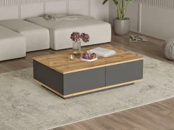 Mesa De Centro|Vente-unique Mesa de centro com 2 portas - Natural Claro e Antracite - LOTULA Cinza antracite / Natural claro