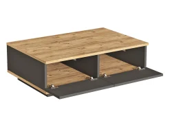 Mesa De Centro|Vente-unique Mesa de centro com 2 portas - Natural Claro e Antracite - LOTULA Cinza antracite / Natural claro