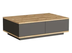 Mesa De Centro|Vente-unique Mesa de centro com 2 portas - Natural Claro e Antracite - LOTULA Cinza antracite / Natural claro