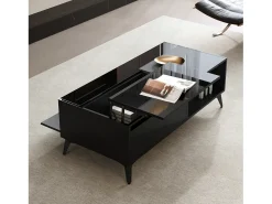 Mesa De Centro|Merax Mesa de centro com tampo elevável e acabamento brilhante - 110 x 50 x 48 cm - com prateleira e porta - aglomerado - preta Preto