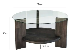 Best Dmora Mesa de centro DCaporal, Mesa de café, Porta-revistas para sofá, Prateleira para sala, 75x75h40 cm, Antracite Preto