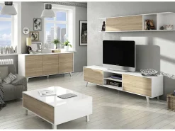 Best Dmora Mesa de centro Dgattus, Mesa de centro com tampo elevável, Mesa baixa de sala, 100x68h38 cm, brilhante e carvalho Branco