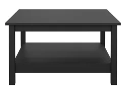 Dmora Mesa de centro Dvalzani, Mesa de centro baixa, Porta-revistas para sofá, Estante de sala, 81x81 h45 cm, Preto