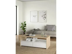 Dmora Mesa de centro Dvandell, Mesa de centro baixa, Porta-revistas para sofá, Estante de sala, 120x60 h46 cm, Carvalho e Branco^ Mesa De Centro