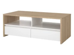 Dmora Mesa de centro Dvandell, Mesa de centro baixa, Porta-revistas para sofá, Estante de sala, 120x60 h46 cm, Carvalho e Branco^ Mesa De Centro
