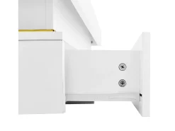Mesa De Centro|Hauss Spole Mesa de centro quadrada com acabamento brilhante e 2 gavetas - Detalhes dourados - Branca Branco