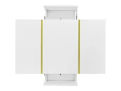 Mesa De Centro|Hauss Spole Mesa de centro retangular 100x60x41,5cm com 2 gavetas, corpo em laca branca com detalhes dourados Branco