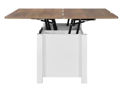New Mesa de Centro SucceBuy com Tampo Elevatório Retangular, 100 x 50 x 48.5 cm, Mesa de Sala com Porta de Celeiro e Compartimento de Armazenamento Oculto Castanho