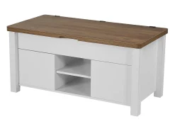New Mesa de Centro SucceBuy com Tampo Elevatório Retangular, 100 x 50 x 48.5 cm, Mesa de Sala com Porta de Celeiro e Compartimento de Armazenamento Oculto Castanho