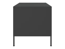 Mesa De Centro*vidaxl Mesa de centro 68x50x50,5 cm aço Preto