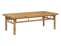 Online Mesa de centro 110x55x35 cm bambu PT160100 Castanho
