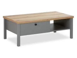 New Mesa de Centro 110x40,5x60 cm cinza Cinzento / Castanho