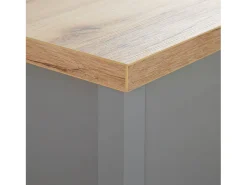 New Mesa de Centro 110x40,5x60 cm cinza Cinzento / Castanho