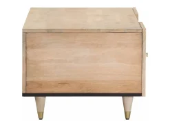 Discount Mesa de centro 100x54x40 cm madeira de mangueira maciça PT153379 Castanho