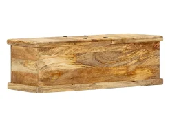 Hot Mesa de centro 100x50x35 cm madeira de mangueira maciça PT736744 Castanho