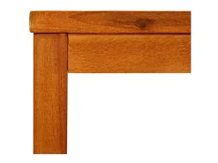 Hot Mesa de centro 50x35x45 cm madeira de acácia maciça PT312012 Castanho