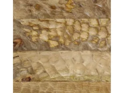 vidaxl Mesa de centro 80x50x40 cm madeira de mangueira maciça^ Mesa De Centro