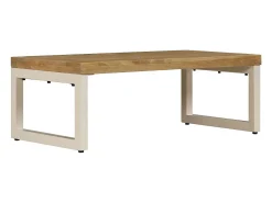 Mesa De Centro* Mesa de centro 100x50x35 cm madeira de mangueira maciça e aço PT795082 Castanho