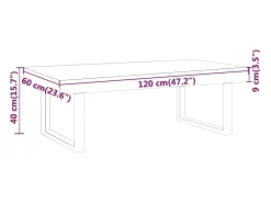 Mesa De Centro*vidaxl Mesa de centro 120x60x40 cm MDF e ferro e preto Cinzento