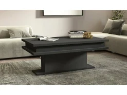 Dmora Mesa de estar Dcampores, Mesa de estar, Armário de armazenamento baixo, Mesa de café, 100x55h42 cm, Antracite^ Mesa De Centro