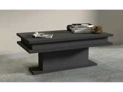 Dmora Mesa de estar Dcampores, Mesa de estar, Armário de armazenamento baixo, Mesa de café, 100x55h42 cm, Antracite^ Mesa De Centro