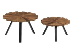 Mesa De Centro*vidaxl Mesas de centro 2 pcs madeira recuperada maciça Natural claro