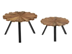 Mesa De Centro*vidaxl Mesas de centro 2 pcs madeira recuperada maciça Natural claro