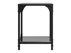 Mesa De Centro| Mesas de centro c/ topo em vidro 2 pcs 30x30x40 cm aço PT171202 Preto