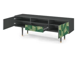 Discount Mueble de TV - 170х59х41 cm - T6 - Gold Ginkgo, Antracite Cinza antracite