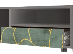 Móvel De Tv| Mueble de TV - 115х59х48 cm - T3 - Magnificent Water Lily, Cinza Cinzento