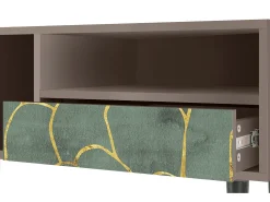 Outlet Mueble de TV - 115х59х48 cm - T3 - Magnificent Water Lily, Latte Bege