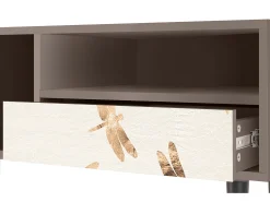 Mueble de TV - 115х59х48 cm - T3 - Nude Dragonflies, Latte^ Móvel De Tv