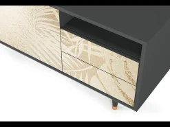 Hot Mueble de TV - 125х56х41 cm - T7 - Plant of the Dessert, Antracite Cinza antracite