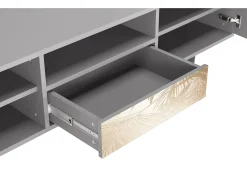 Móvel De Tv* Mueble de TV - 170х59х41 cm - T6 - Plant of the Dessert, Cinza Cinzento