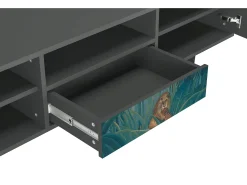 New Mueble de TV - 170х59х41 cm - T6 - The Repast of the Lion, Antracite Cinza antracite