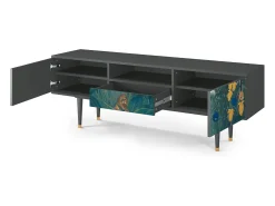 New Mueble de TV - 170х59х41 cm - T6 - The Repast of the Lion, Antracite Cinza antracite