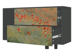 Mueble de TV - 170х69х48 cm - T1 - The Poppy Field , Antracite Cinza antracite