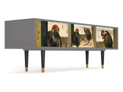 Móvel De Tv* Mueble de TV - 170х59х48 cm - T4 - Two Monkeys, Cinza Cinzento