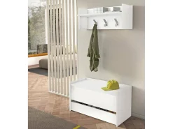 Dmora Móveis de entrada Dap, Entrada moderna com cabide, Armário com sapateira, Armário multifuncional, Cm 50x32h182,^ Móvel De Entrada