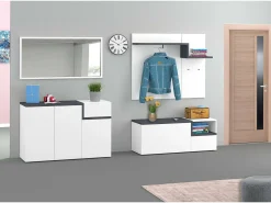 Dmora Móvel de entrada Ezio, entrada multifuncional moderna, Armário multiuso para hall de entrada, 100% Fabricado na Itália, 120x30h100 cm, brilhante e ardósia^ Cabide De Pé