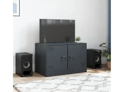 Móvel de TV 67x39x44 cm aço antracite PT854723^ Móvel De Tv