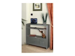 Móvel De Arrumação|Sapateira*Meublorama Móvel para sapatos e console de entrada SCOTT de 93 cm na cor cinza brilhante. Cinzento