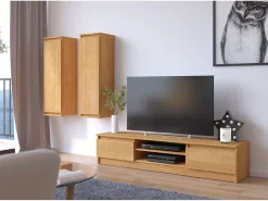 Akord Móvel para TV Amieiro 160 cm com 2 Portas e 2 Prateleiras - Design Moderno e Elegante^ Móvel De Tv