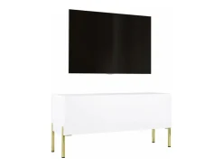 Móvel TV : Fosco / Brilhante, patas douradas, 100 x 52 x 32 cm^ Móvel De Tv