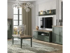 Sale Petits-Meubles Móvel TV 1 porta 1 gaveta Martin e madeira 181cm Verde